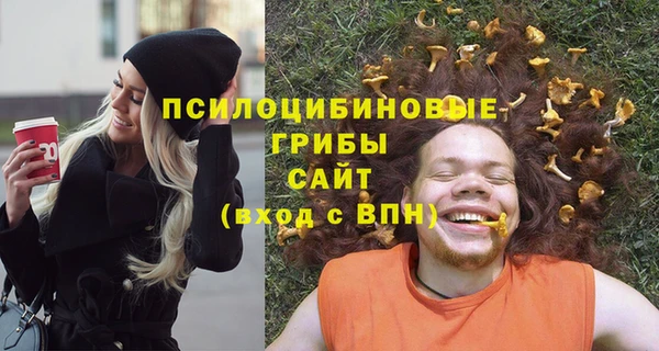 дживик Белокуриха
