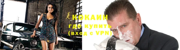 дживик Белокуриха