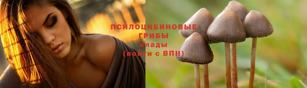 мескалин Сосновоборск