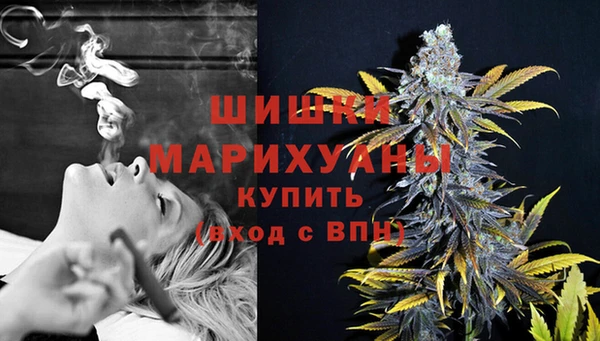 стафф Беломорск