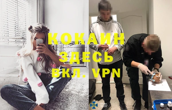 дживик Белокуриха