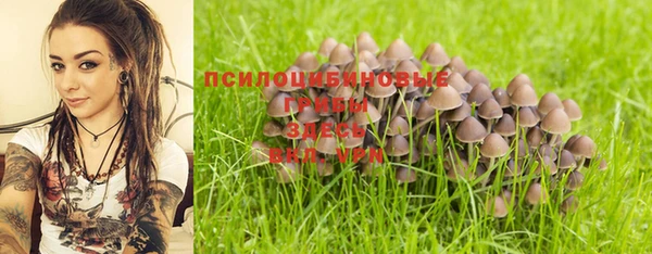 стафф Беломорск