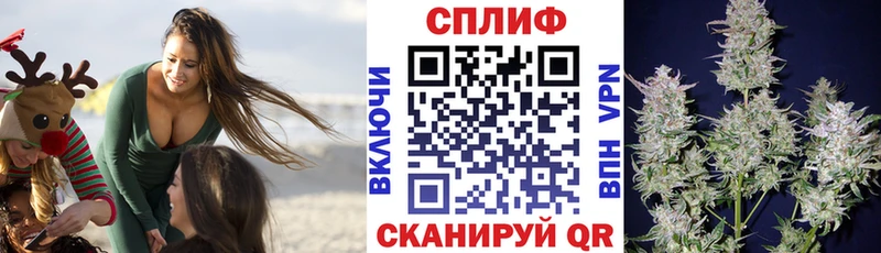 hydra маркетплейс  цена   Мурино  Бошки марихуана индика 